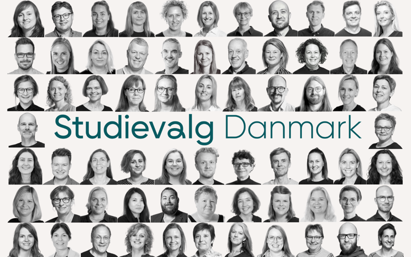 Vejledere Ved Studievalg Danmark